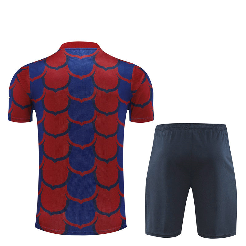 Shirt and Shorts pre-allenamento FC Barcelona 24/25