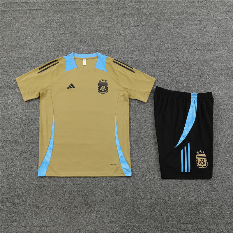 Shirt and Shorts Training Argentina 24/25