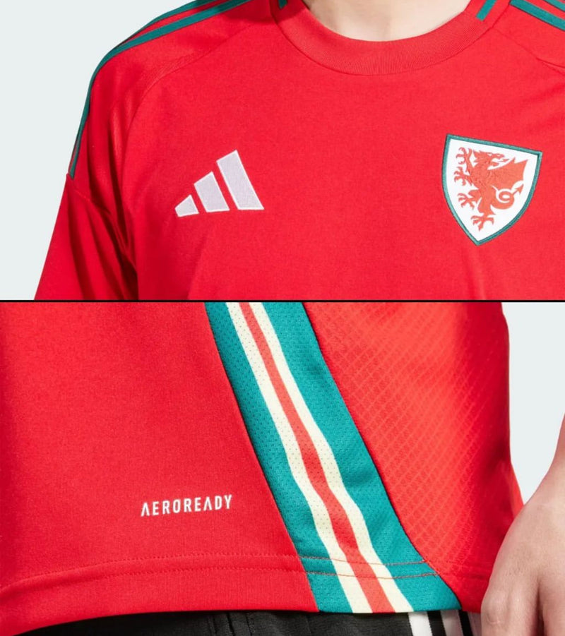 Shirt Welsh 24/25