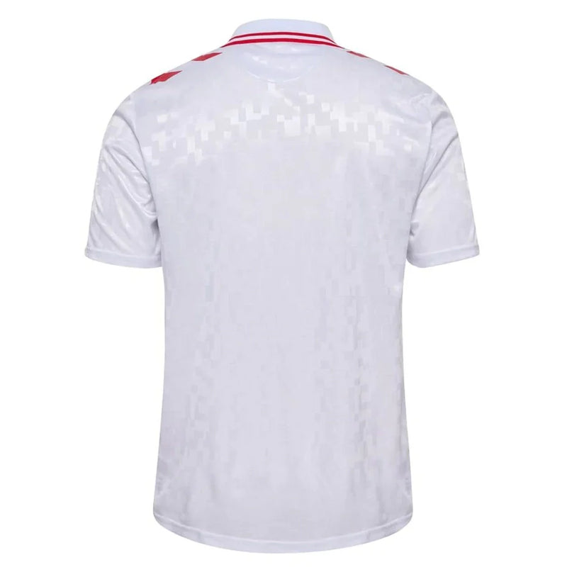 Shirt Denmark 24/25