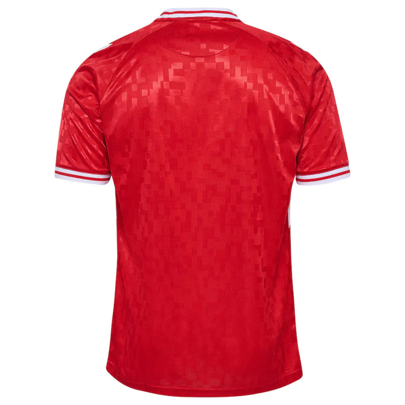 Shirt Denmark 24/25